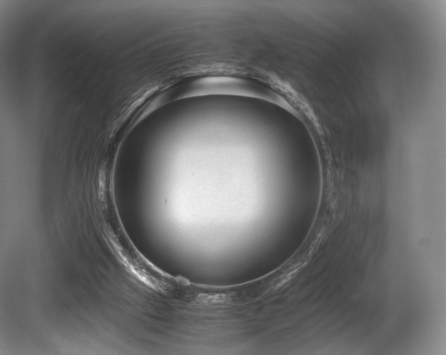 X0000080660057200612151141