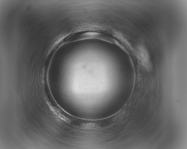X0000080660058200612151141