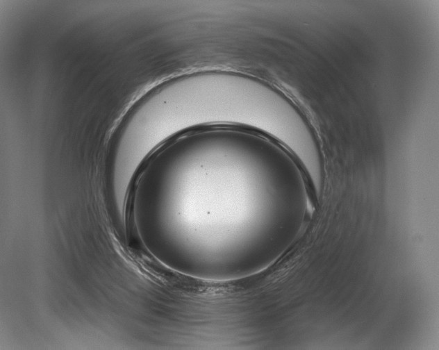 X0000080660060200612151142