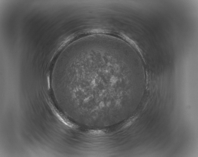 X0000080660061200612151142