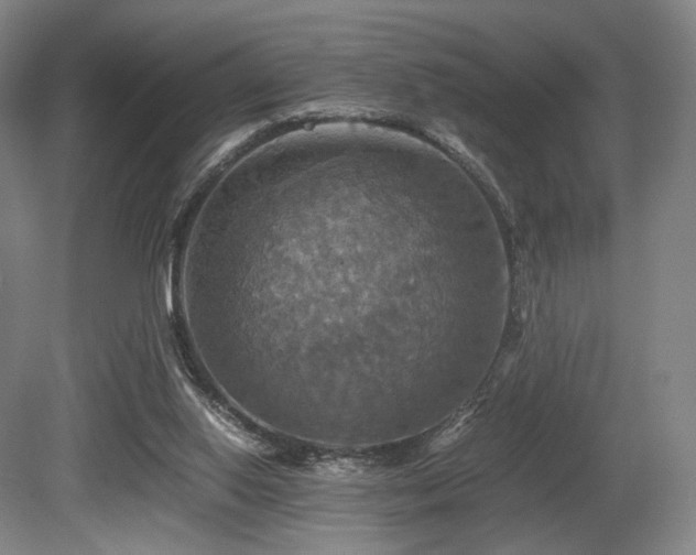 X0000080660062200612151142
