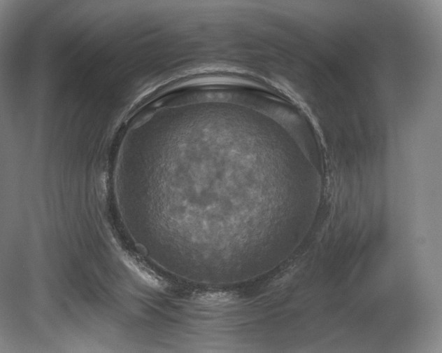 X0000080660063200612151142