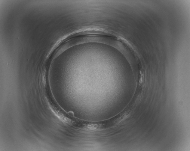 X0000080660064200612151142