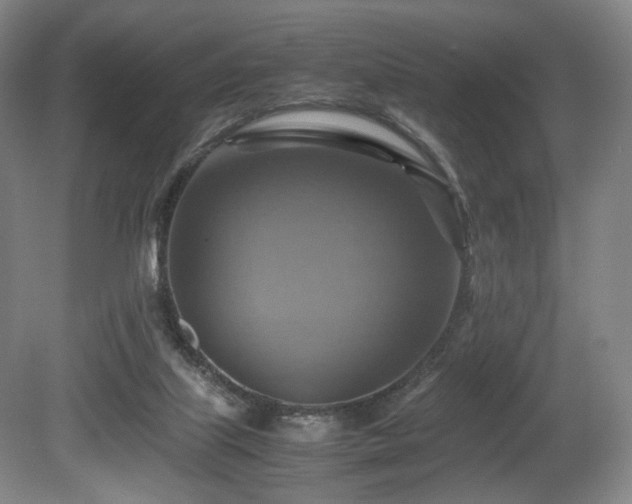 X0000080660067200612151142