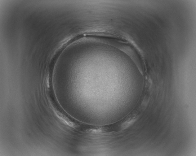 X0000080660068200612151142