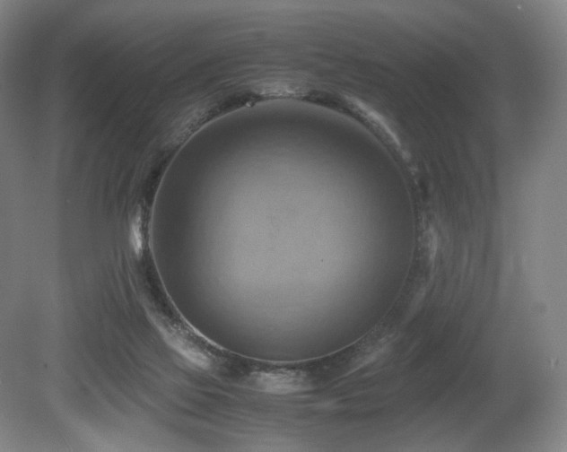 X0000080660069200612151142