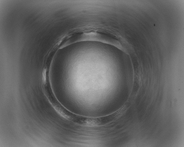 X0000080660070200612151142