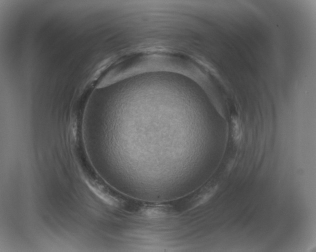X0000080660072200612151142