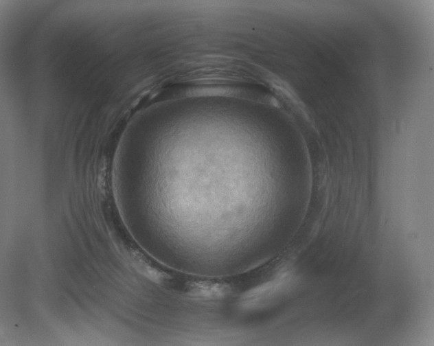 X0000080660073200612151142