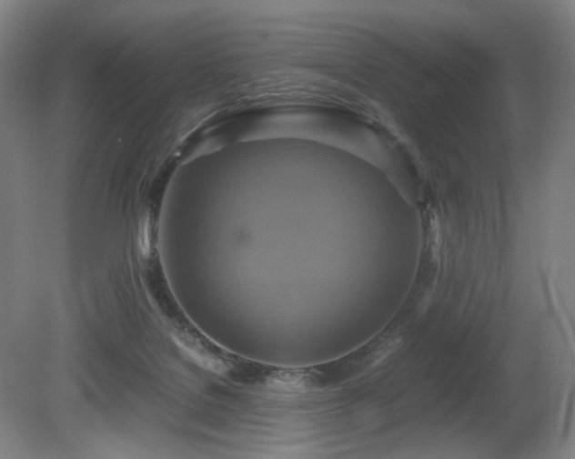 X0000080660076200612151142