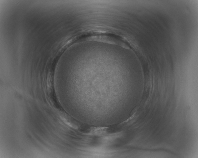 X0000080660078200612151142