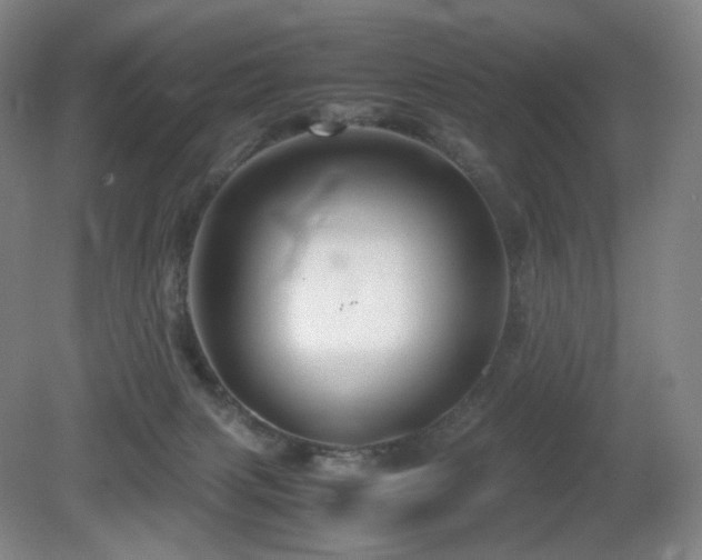 X0000080660079200612151142