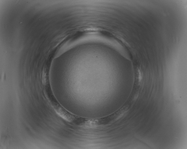 X0000080660080200612151142