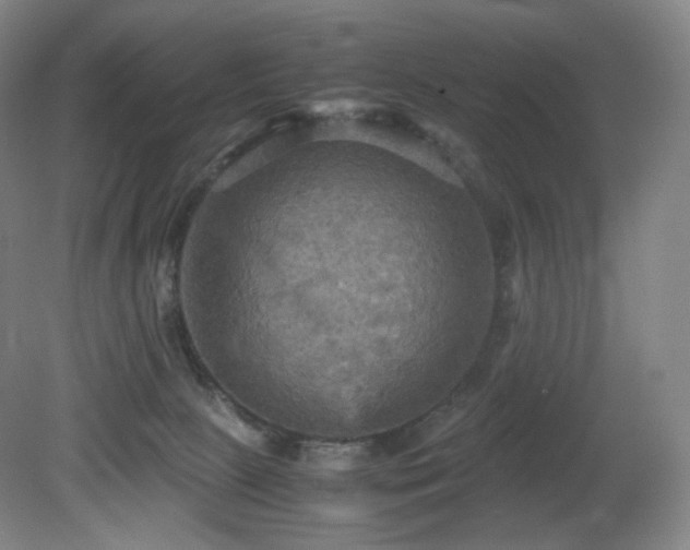 X0000080660081200612151142