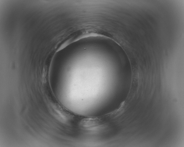X0000080660082200612151142