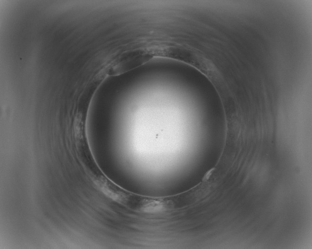 X0000080660083200612151142