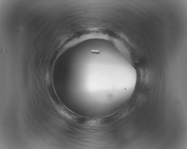 X0000080660084200612151142