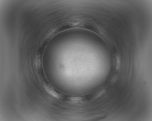 X0000080660085200612151142