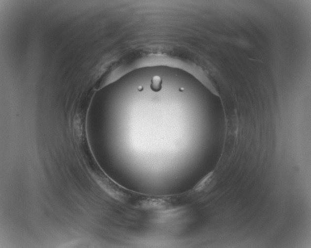 X0000080660086200612151142
