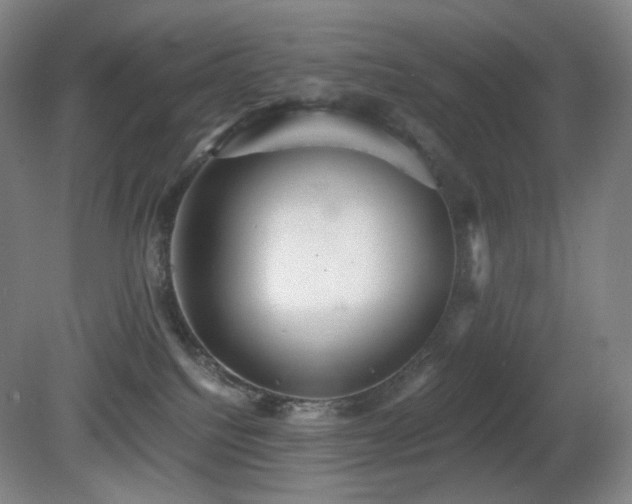 X0000080660088200612151142