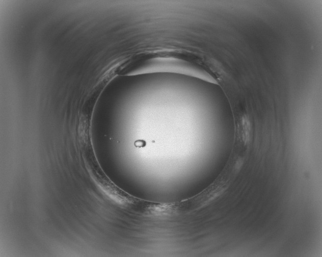 X0000080660092200612151142