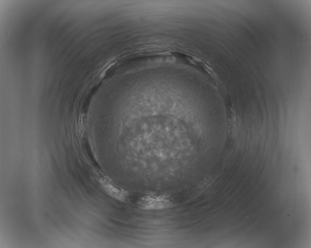 X0000080660093200612151142
