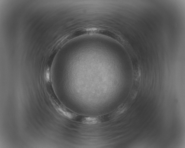 X0000080660095200612151142