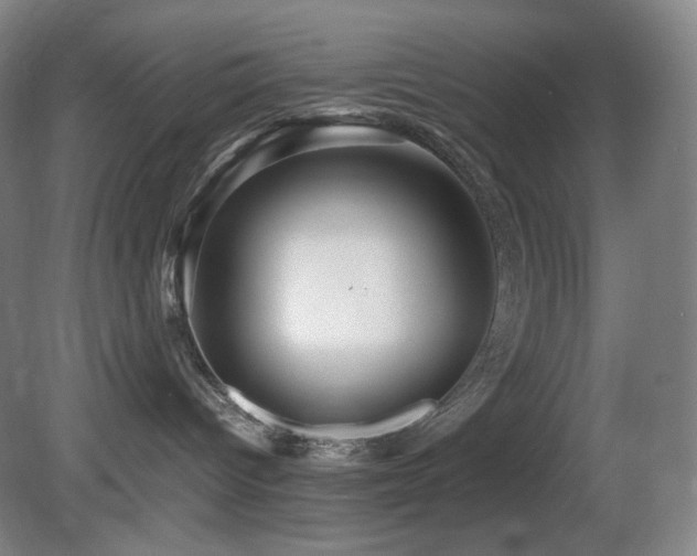 X0000080660096200612151142