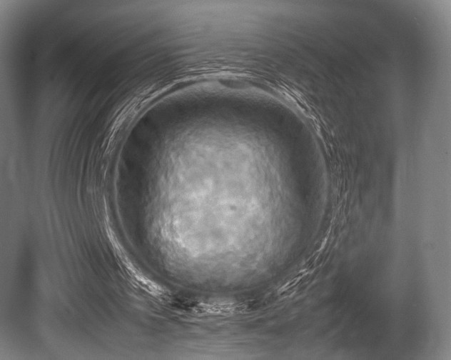 X0000080660097200612151141