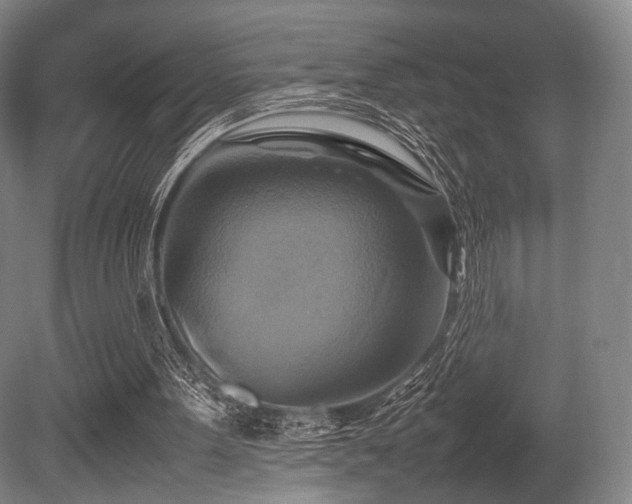 X0000080660099200612151141