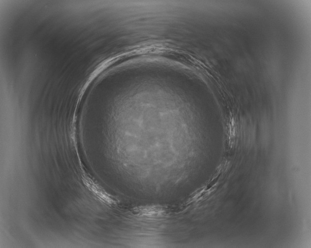 X0000080660100200612151141