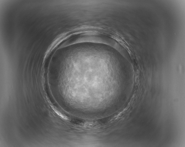 X0000080660101200612151141