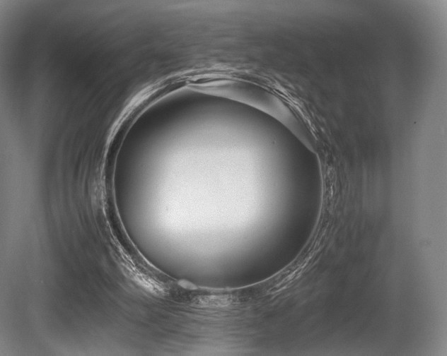 X0000080660102200612151141