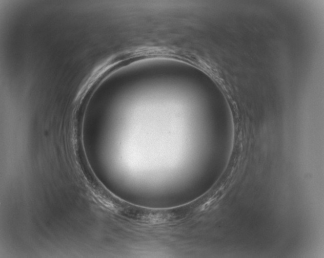 X0000080660103200612151141
