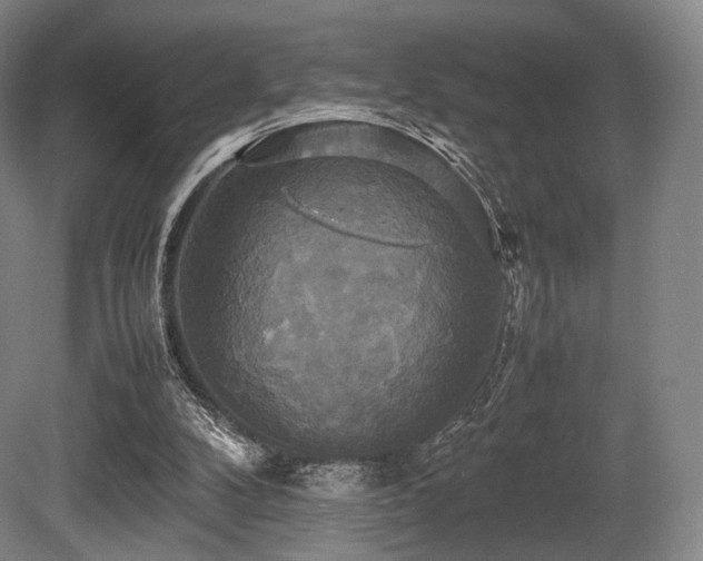 X0000080660104200612151141