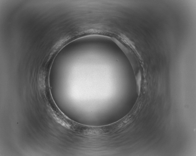 X0000080660106200612151141