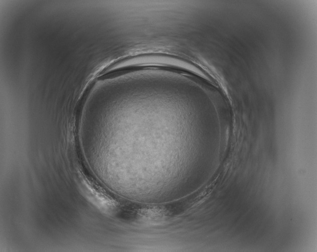 X0000080660107200612151141