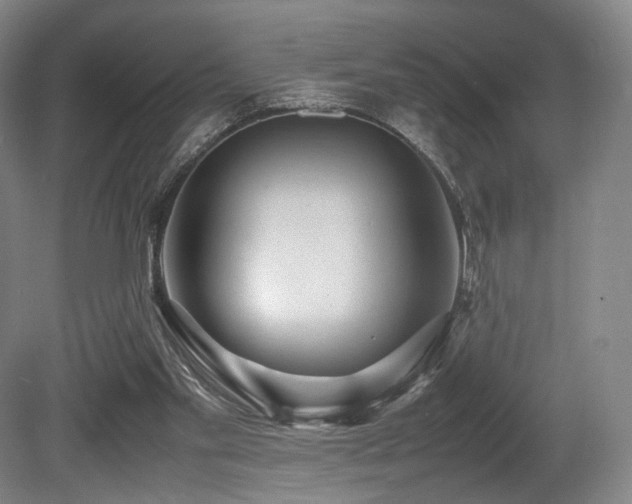 X0000080660109200612151141