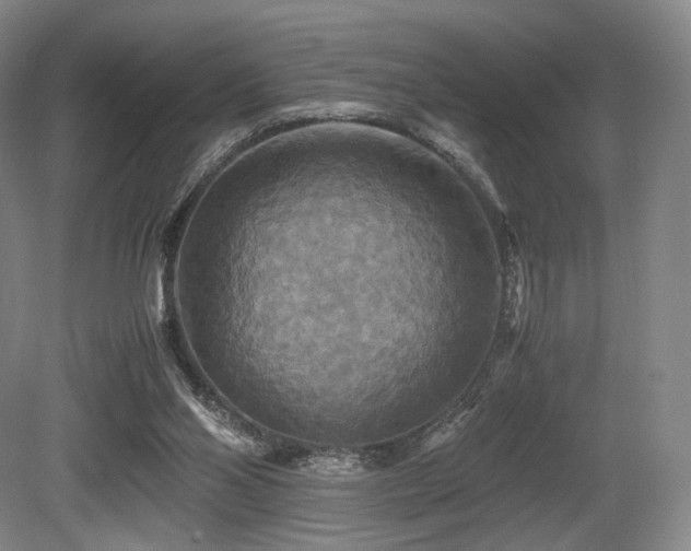 X0000080660110200612151141
