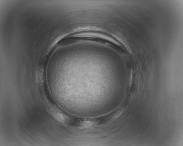 X0000080660111200612151141