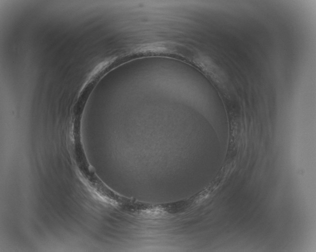 X0000080660112200612151141