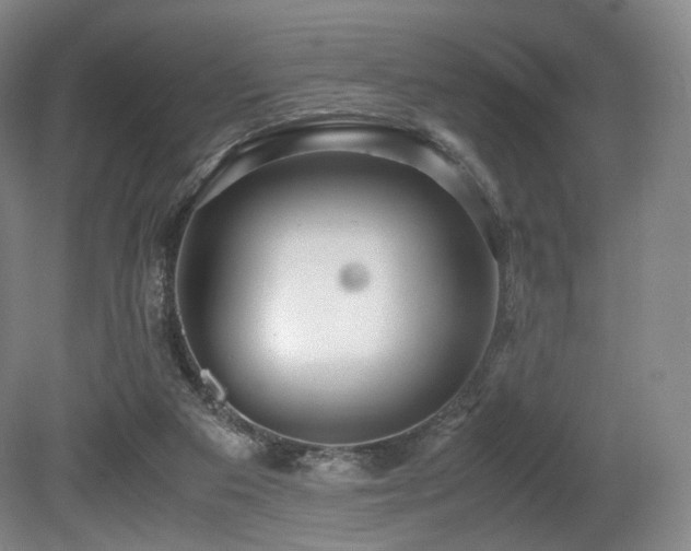 X0000080660113200612151141
