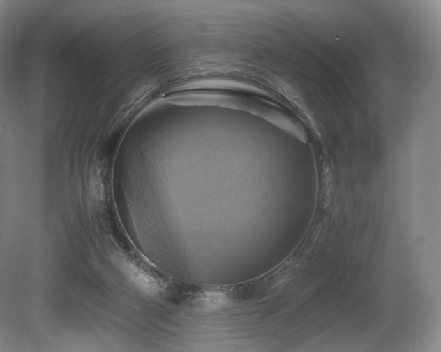 X0000080660114200612151141