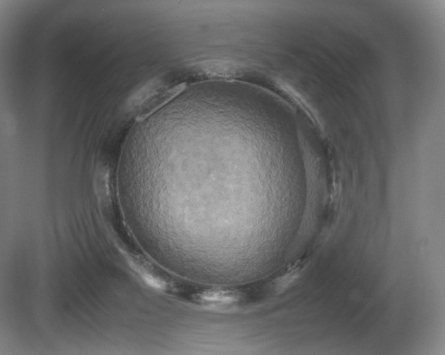 X0000080660117200612151141