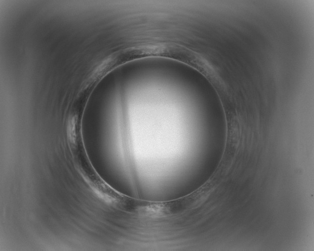 X0000080660118200612151141