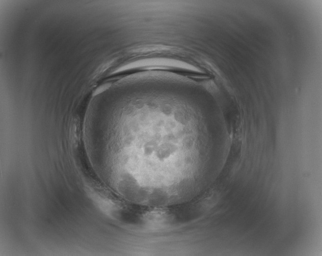 X0000080660119200612151141