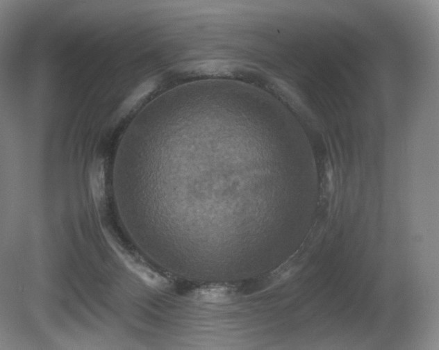 X0000080660120200612151141