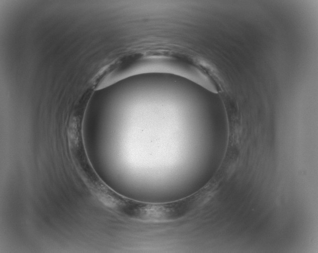 X0000080660121200612151141