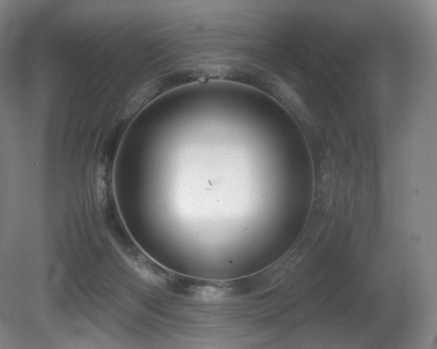 X0000080660122200612151141