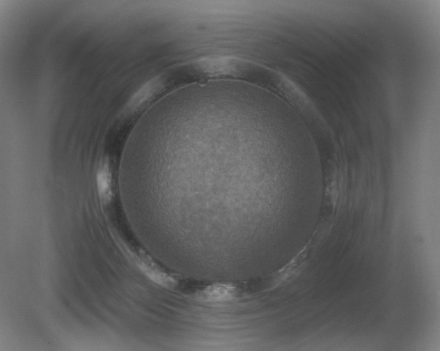 X0000080660124200612151141